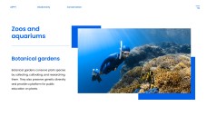 藍色自然風格生物多樣性保育PPT模板