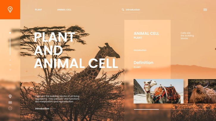 Orange Minimalist Organic Plant and Animal Cell PPT Template