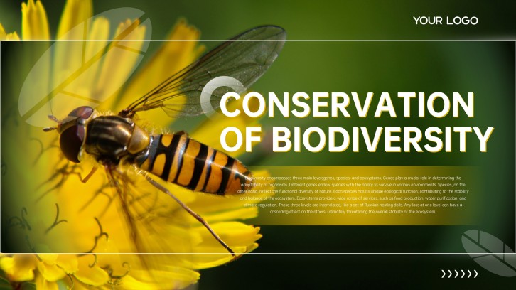 Templat PPT Pemuliharaan Biodiversiti Minimalis Hijau dan Kuning Mesra Alam