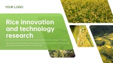 Green and White Minimalist Modern Rice PPT Template