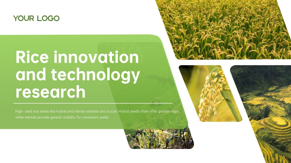 Green and White Minimalist Modern Rice PPT Template