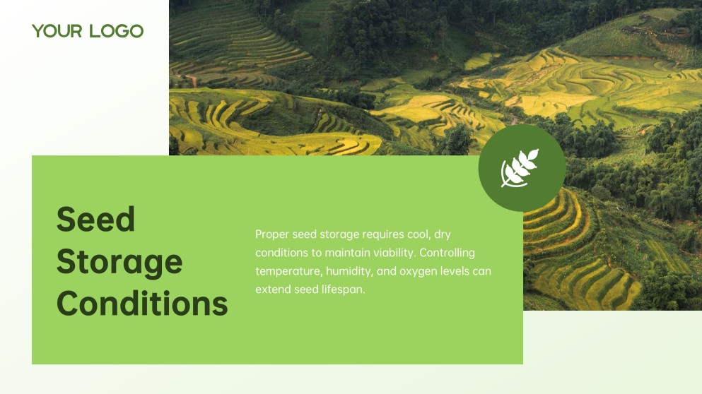 Green and White Minimalist Modern Rice PPT Template