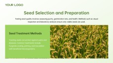 Green and White Minimalist Modern Rice PPT Template