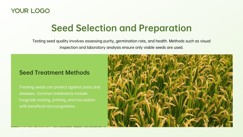 Green and White Minimalist Modern Rice PPT Template