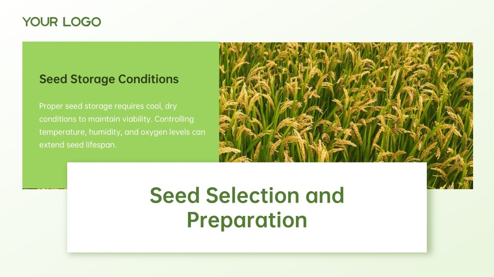 Green and White Minimalist Modern Rice PPT Template