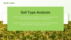 Green and White Minimalist Modern Rice PPT Template