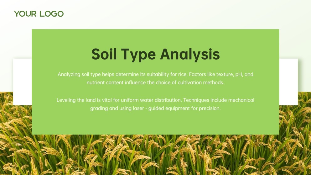 Green and White Minimalist Modern Rice PPT Template