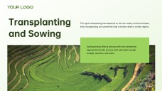 Green and White Minimalist Modern Rice PPT Template