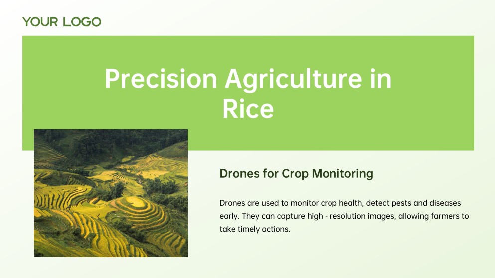 Green and White Minimalist Modern Rice PPT Template