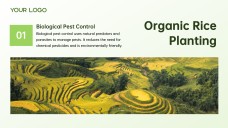 Green and White Minimalist Modern Rice PPT Template