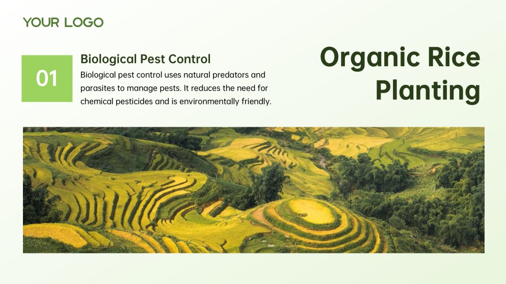 Green and White Minimalist Modern Rice PPT Template