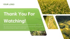 Green and White Minimalist Modern Rice PPT Template