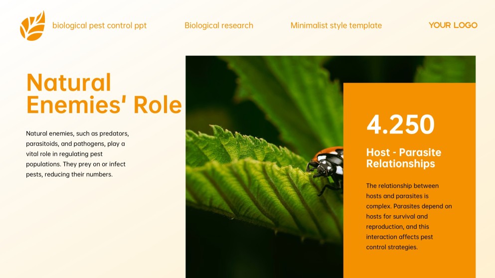 Yellow Minimalist Style Biological Pest Control PPT Template