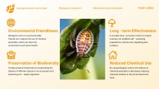 Yellow Minimalist Style Biological Pest Control PPT Template