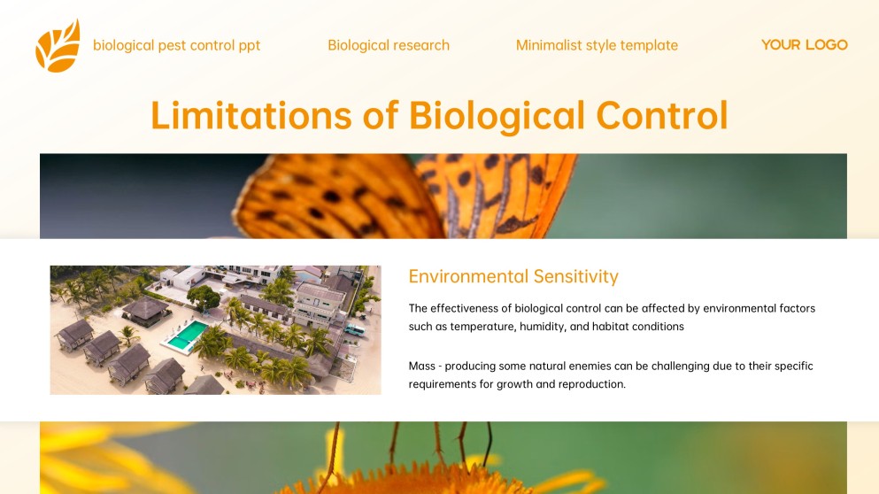 Yellow Minimalist Style Biological Pest Control PPT Template