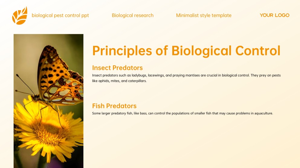 Yellow Minimalist Style Biological Pest Control PPT Template