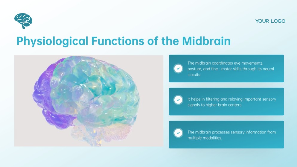 Blue Midbrain Activation Course PowerPoint Template with Brain Graphics