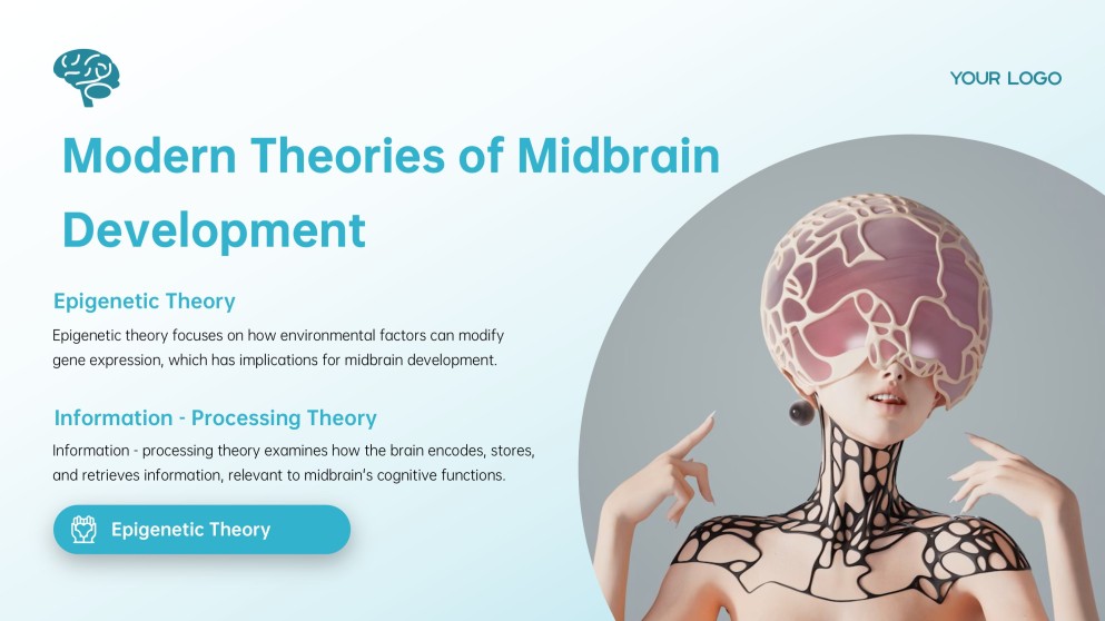 Blue Midbrain Activation Course PowerPoint Template with Brain Graphics