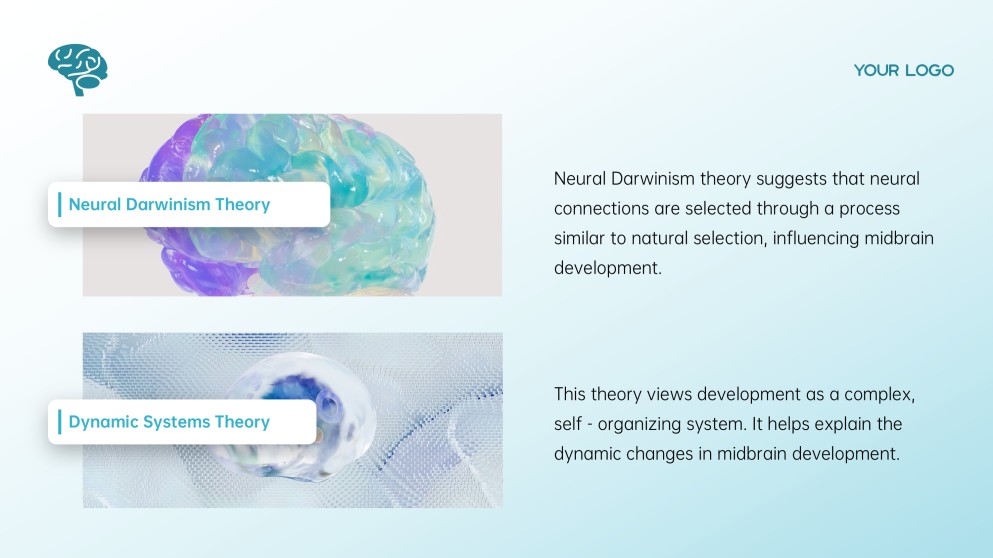 Blue Midbrain Activation Course PowerPoint Template with Brain Graphics