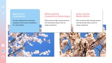 Cherry Blossom Season Event Planning PPT