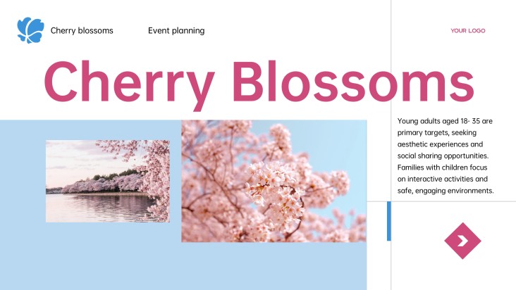 Cherry Blossom Festival Travel Presentation