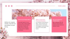 Cherry Blossom Background PPT Template