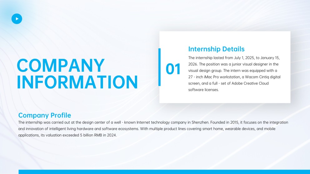 Internship Project Report PPT for College Students
