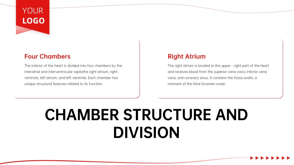 Anatomy of Heart Teaching PPT