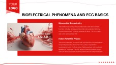 Anatomy of Heart Teaching PPT