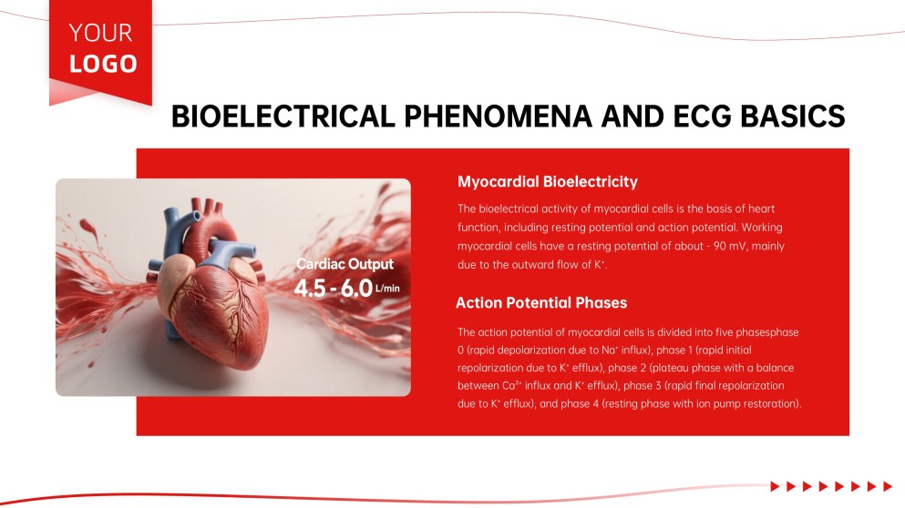 Anatomy of Heart Teaching PPT
