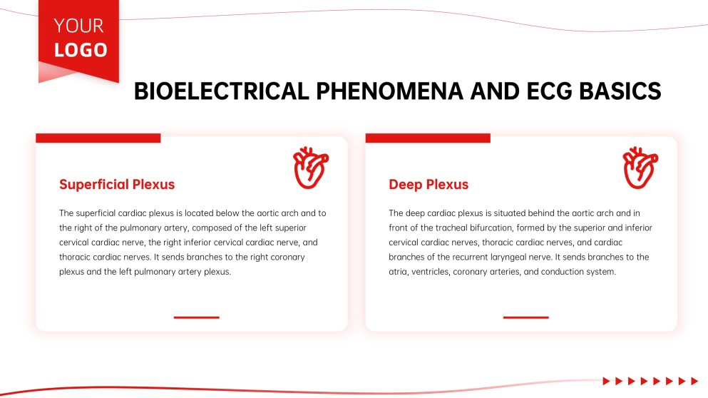 Anatomy of Heart Teaching PPT