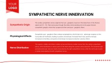 Anatomy of Heart Teaching PPT