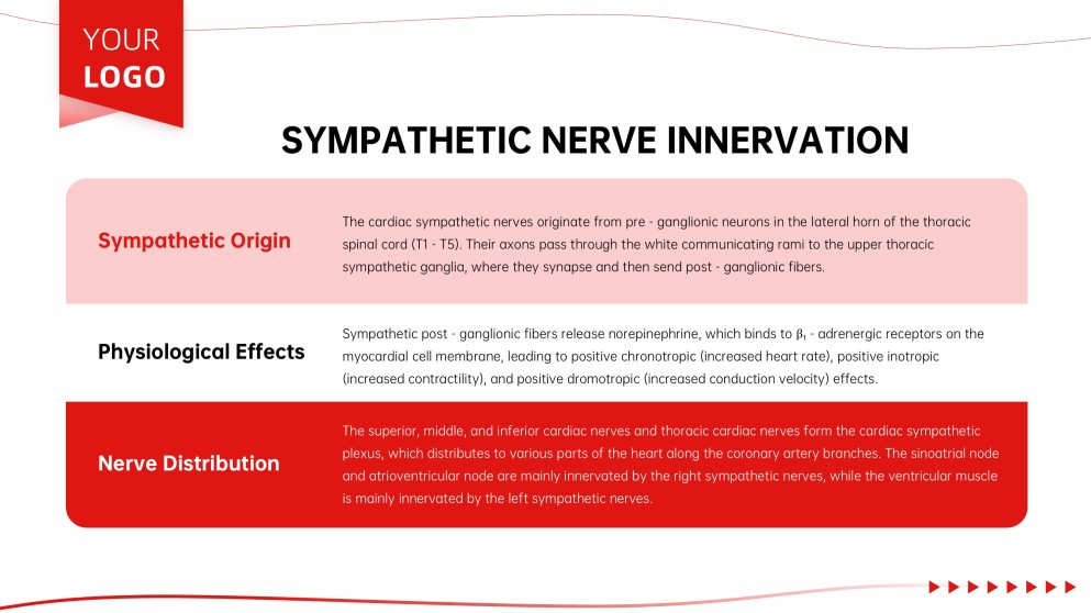Anatomy of Heart Teaching PPT