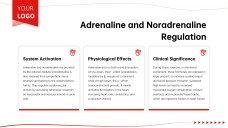 Anatomy of Heart Teaching PPT