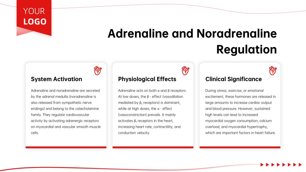 Anatomy of Heart Teaching PPT