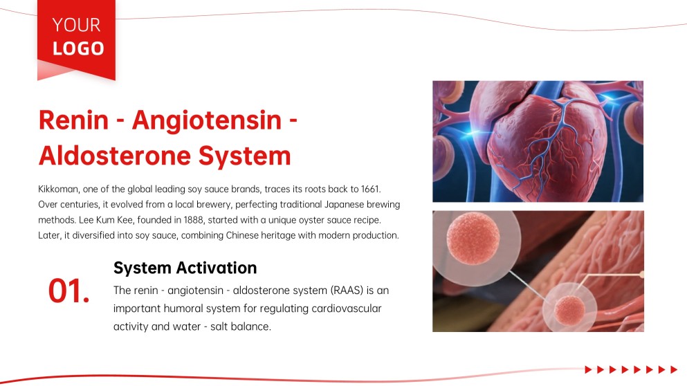 Anatomy of Heart Teaching PPT