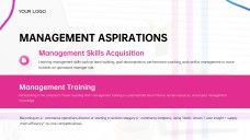 E-Commerce Business Plan PPT