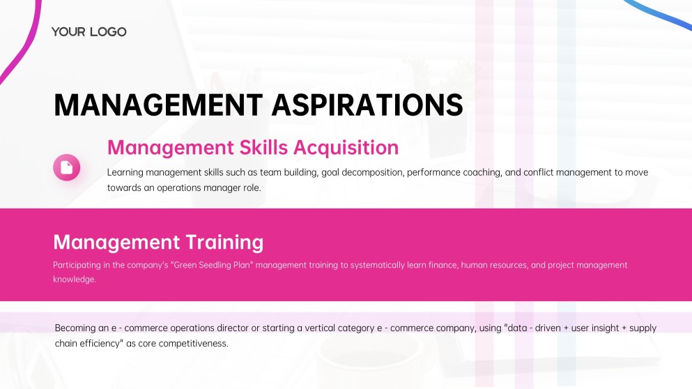 E-Commerce Business Plan PPT