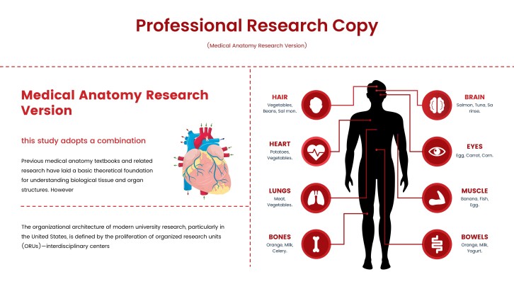 Medical Anatomy Poster