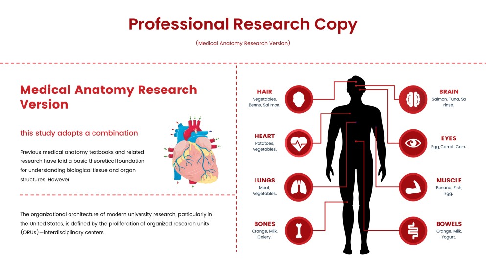 Medical Anatomy Poster