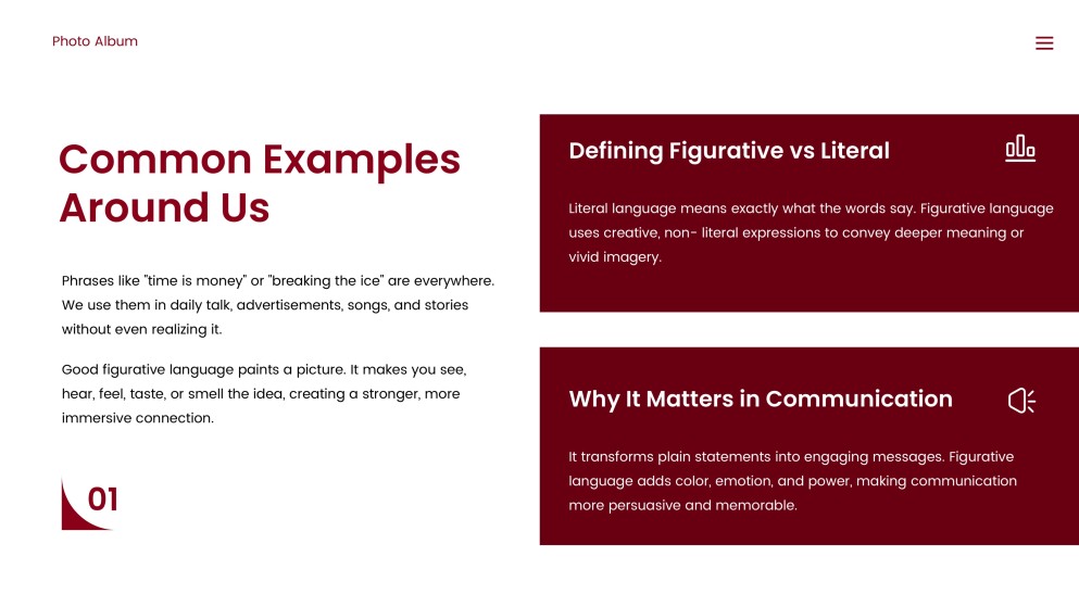 Photo Album Sales Plan PPT