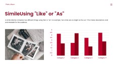 Photo Album Sales Plan PPT