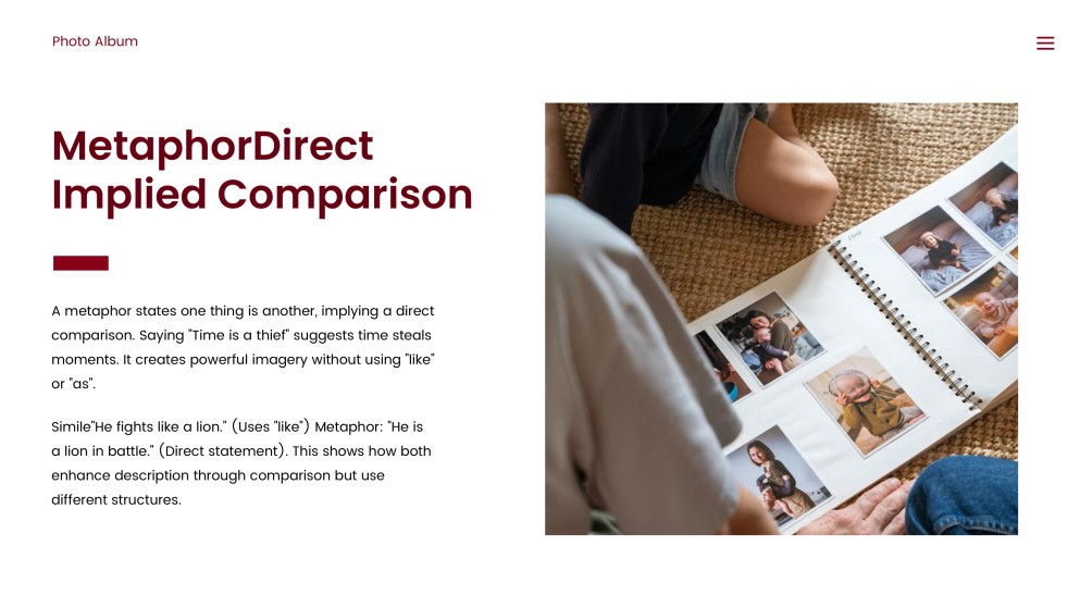 Photo Album Sales Plan PPT