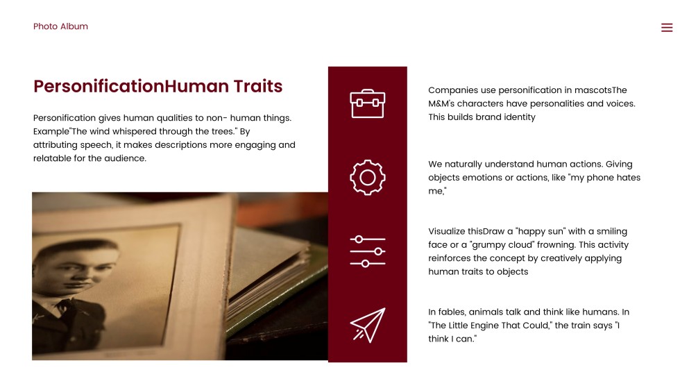 Photo Album Sales Plan PPT