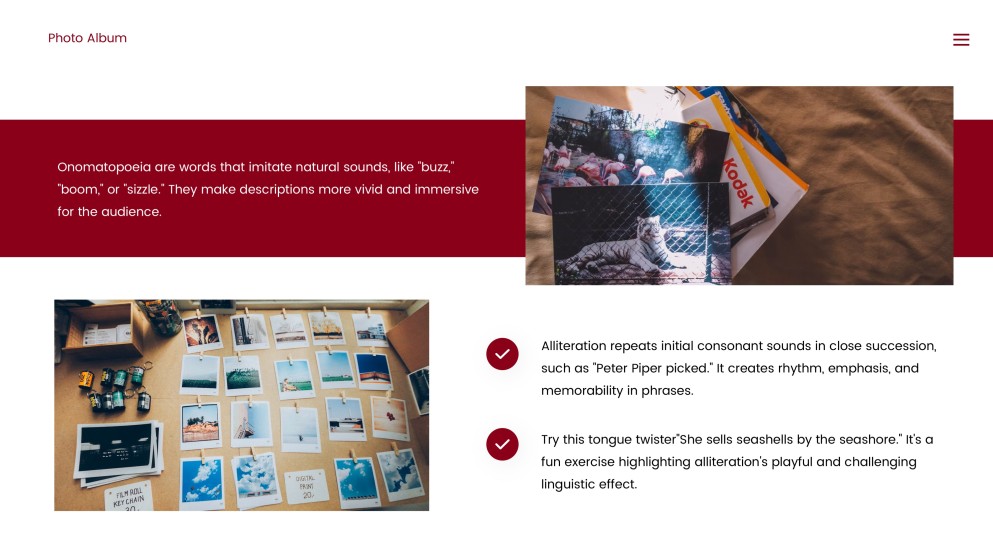 Photo Album Sales Plan PPT