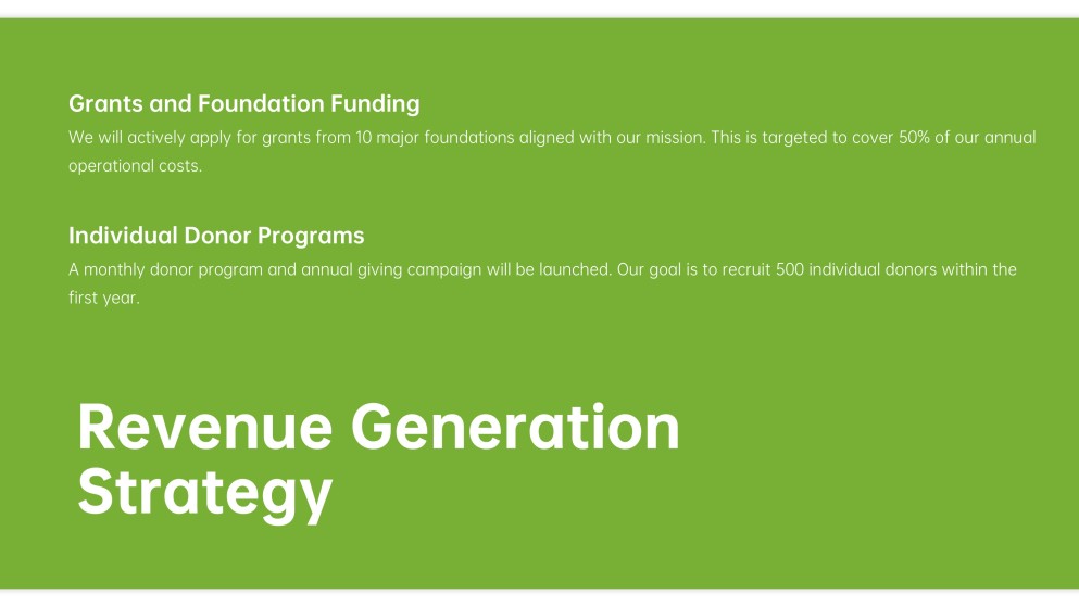 NGO Business Plan PPT