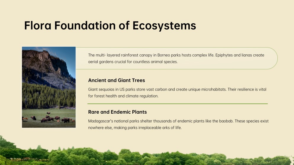 Biodiversity Hotspots: National Parks Presentation