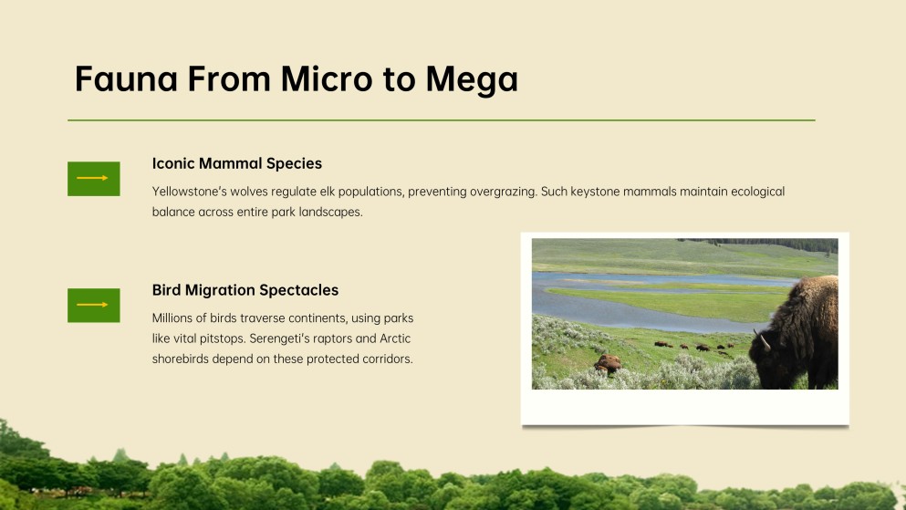 Biodiversity Hotspots: National Parks Presentation