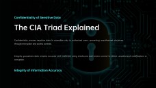 Cybersecurity Infographics for Presentation