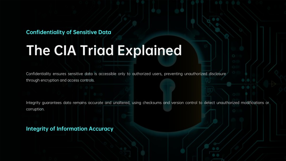 Cybersecurity Infographics for Presentation